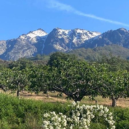 Villa Mirada A Gredos Candeleda Esterno foto
