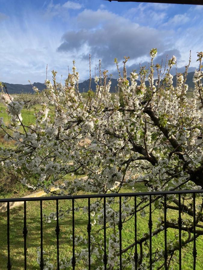 Villa Mirada A Gredos Candeleda Esterno foto