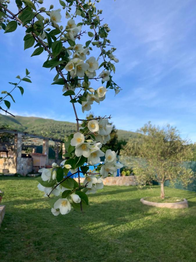 Villa Mirada A Gredos Candeleda Esterno foto